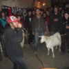 The Punk Rock Goat!