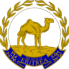 Eritrea: Elections of Area Administrators and Managing Directors