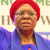 Analysts say technocrats in Cabinet will boost service delivery 