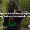 Chinedu Mogbo
