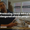 Two Oceans – Shanet Rutgers