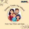 Genetic Traits You’re Likely To Get From Your Parents