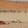 PDM challenges government decision to end drought relief