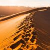 Tour operators criticise poor national park maintenance as tourism image suffers