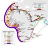 Namibia outperforms peers in global digital connectivity ranking