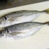 Fishrot: Government job scheme fails victims, IPPR report