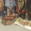 Four men arrested for goat theft in Kavango We