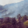 Veld fires reported behind Ludwigdorf as Windhoek battles increased fire risk